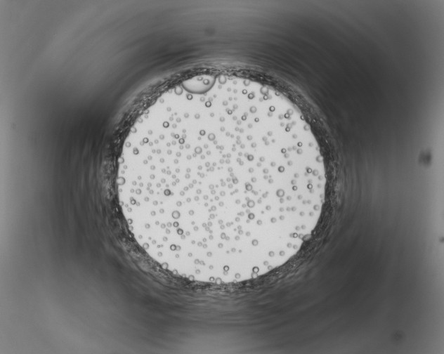 X0000115621016200912221223