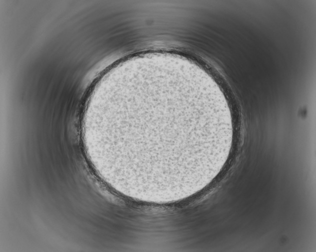 X0000115621018200912221223
