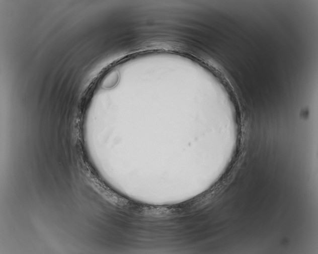 X0000115621019200912221224
