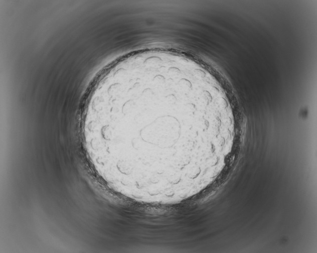 X0000115621021200912221224