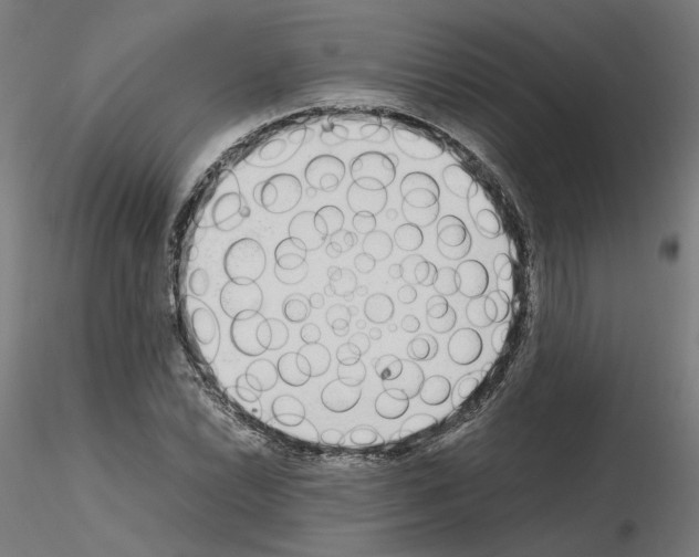 X0000115621022200912221224