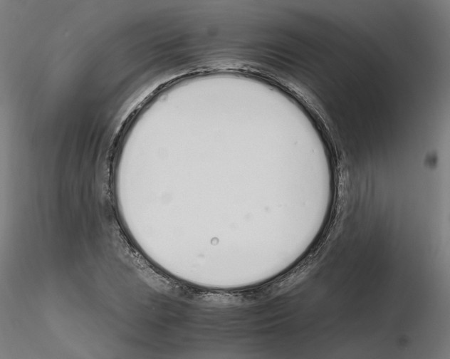 X0000115621023200912221224