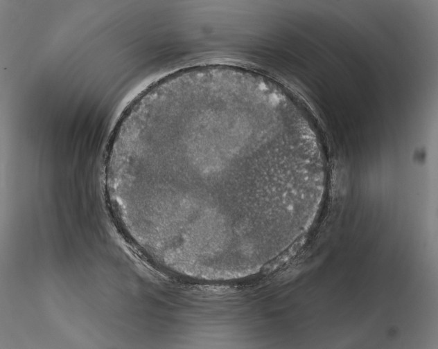 X0000115621024200912221224