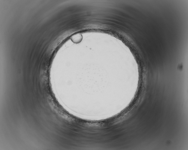 X0000115621025200912221224