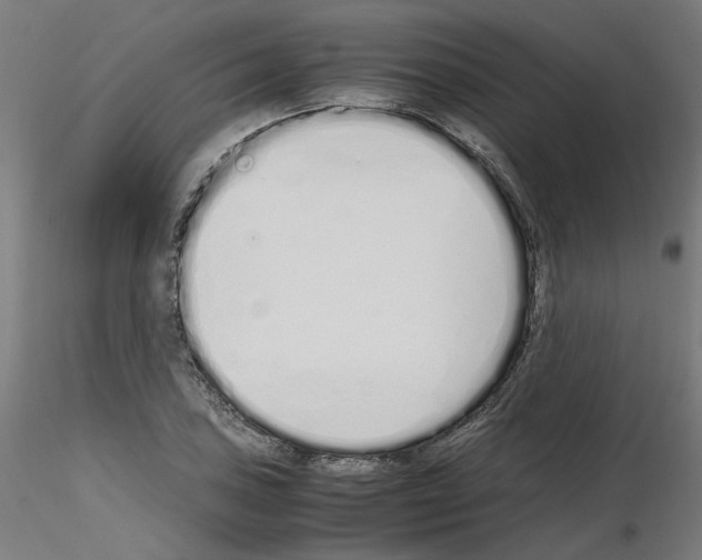 X0000115621027200912221224