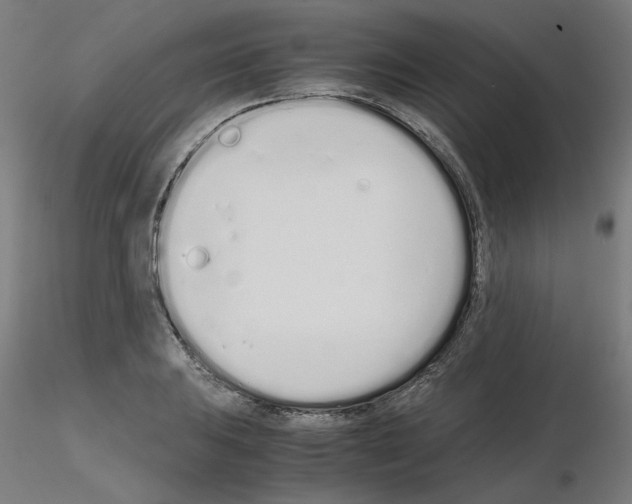 X0000115621031200912221224