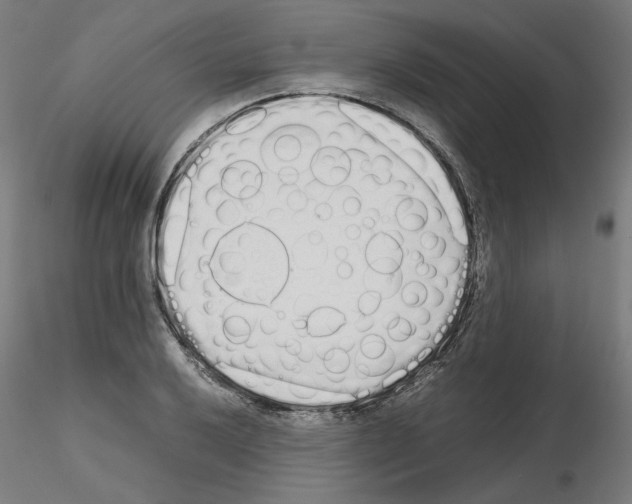 X0000115621032200912221224