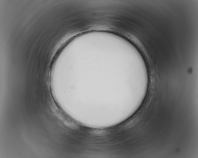 X0000115621035200912221224