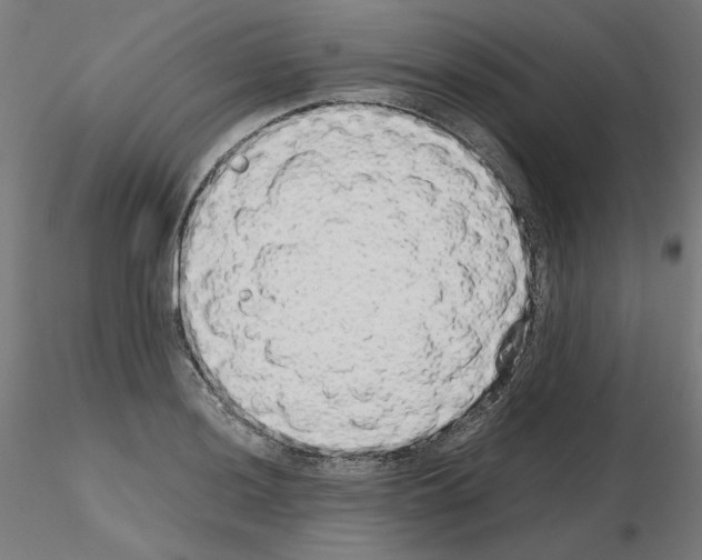 X0000115621036200912221224