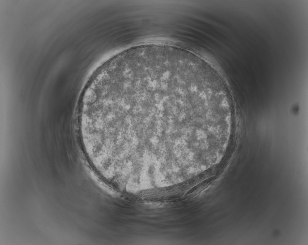 X0000115621037200912221224