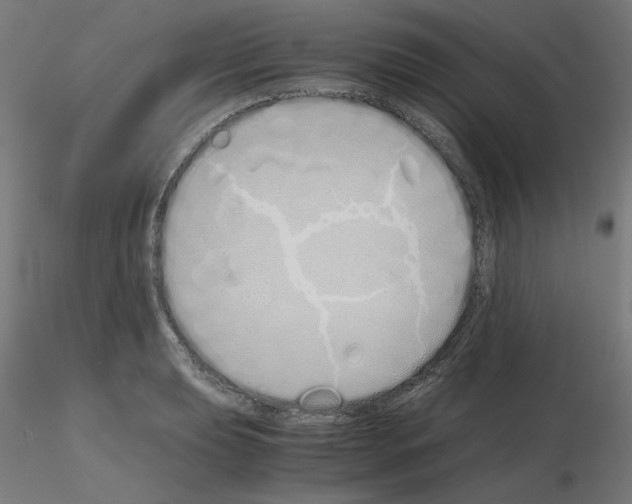 X0000115621039200912221224