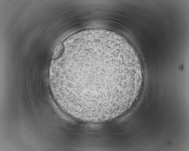 X0000115621041200912221224