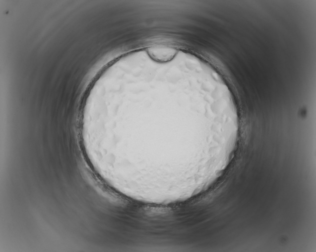 X0000115621043200912221224