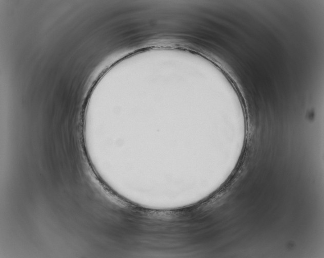 X0000115621045200912221224