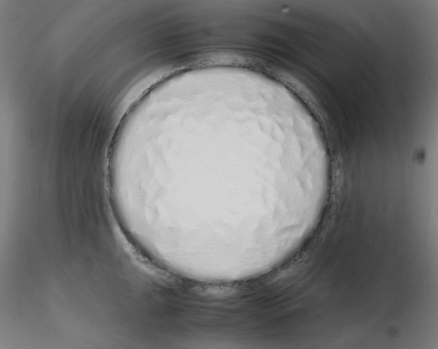 X0000115621047200912221224