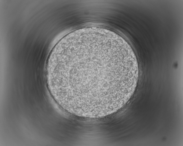 X0000115621050200912221224
