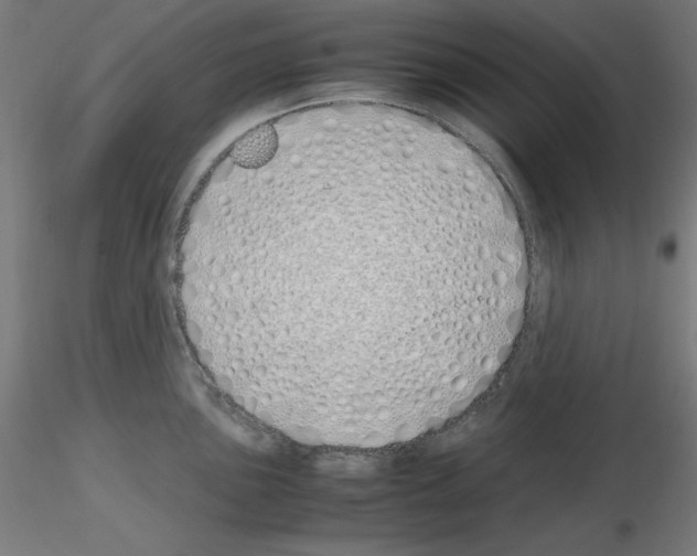 X0000115621051200912221224