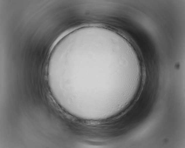 X0000115621052200912221224