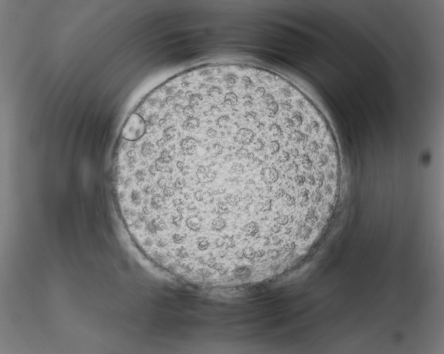 X0000115621053200912221224