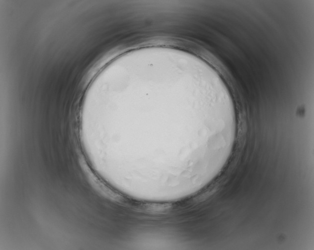 X0000115621055200912221224