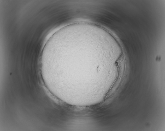 X0000115621056200912221224