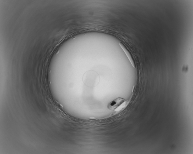 X0000115621057200912221223