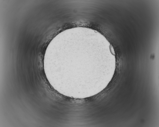 X0000115621058200912221223