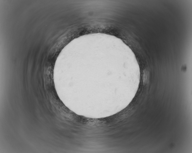 X0000115621059200912221223