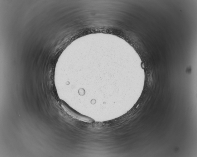 X0000115621060200912221223