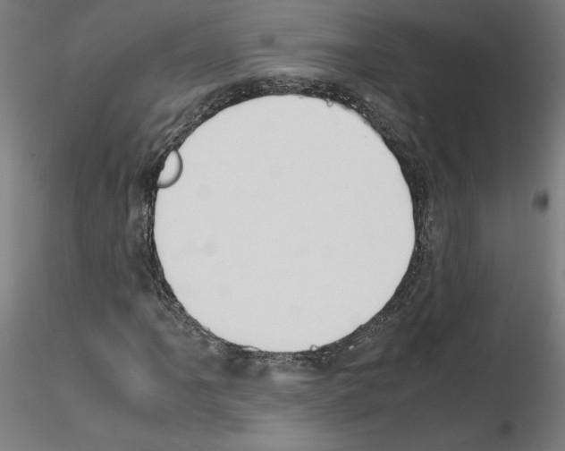 X0000115621061200912221223