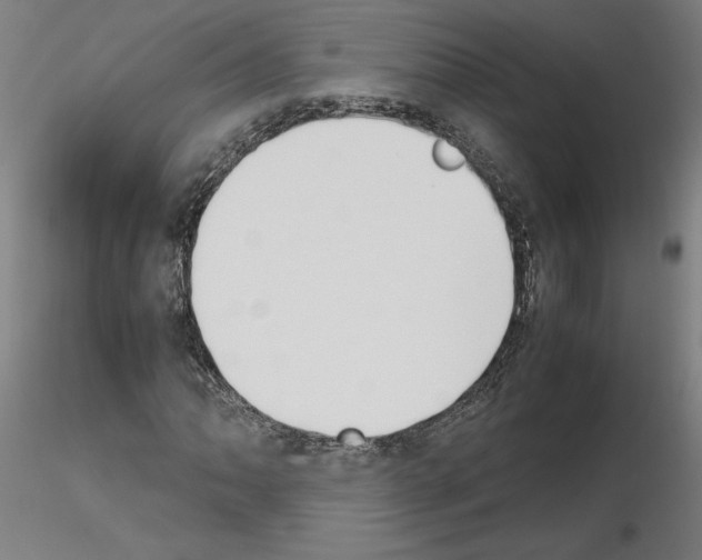 X0000115621062200912221223