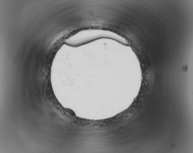 X0000115621064200912221223