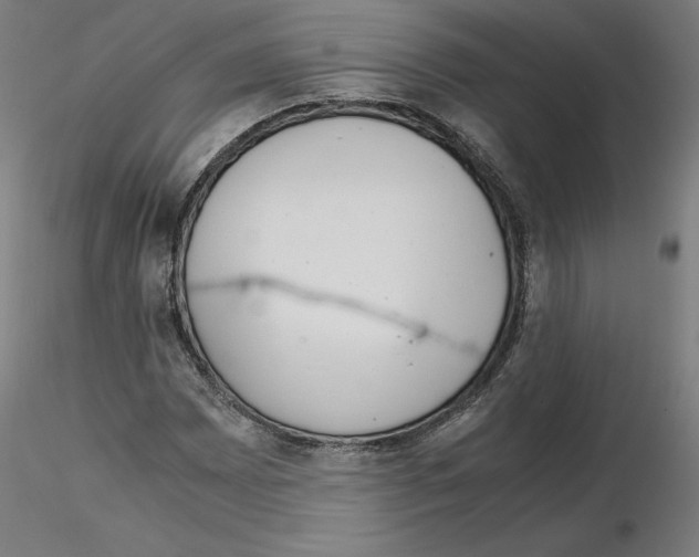 X0000115621065200912221223