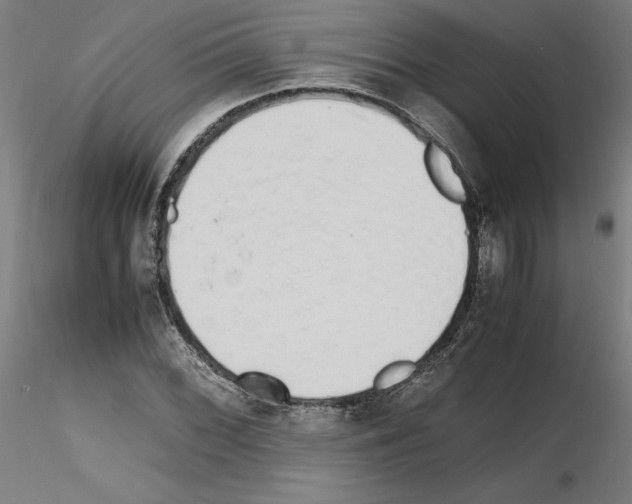 X0000115621068200912221223