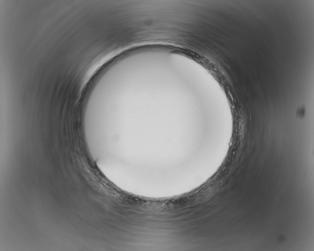 X0000115621069200912221223