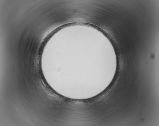 X0000115621070200912221223