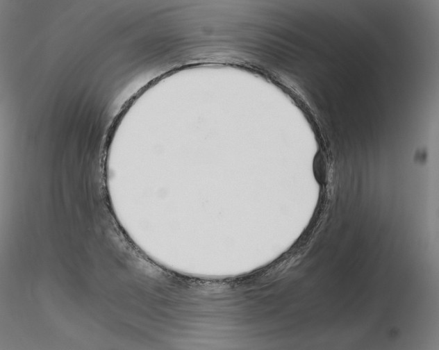 X0000115621071200912221223