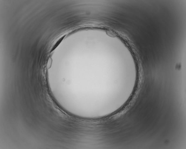 X0000115621073200912221223