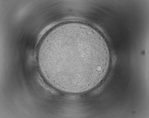 X0000115621074200912221223
