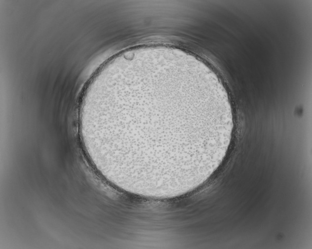 X0000115621075200912221223