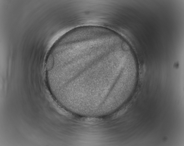 X0000115621077200912221223