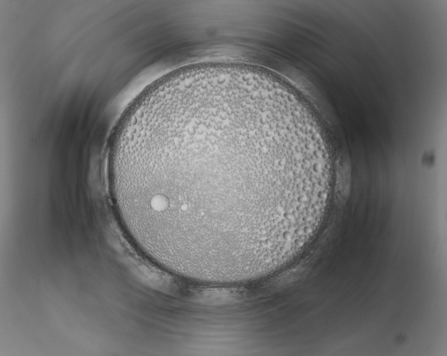 X0000115621078200912221223