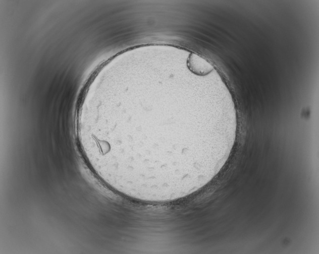 X0000115621080200912221223