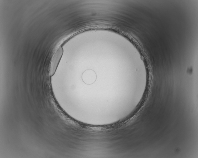 X0000115621081200912221223
