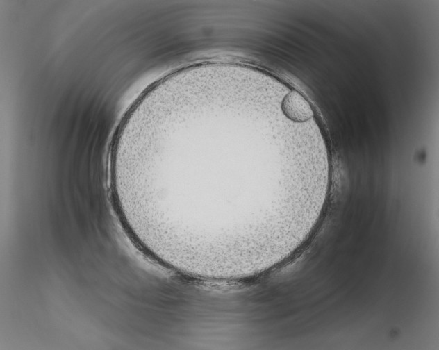 X0000115621082200912221223