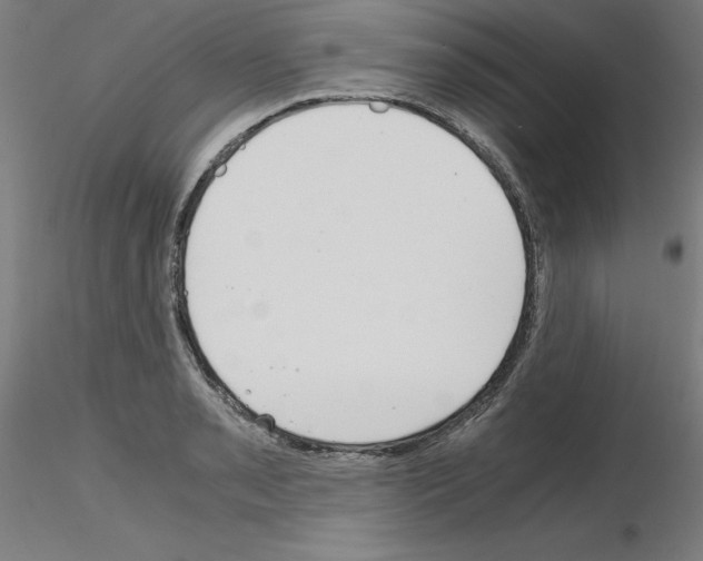 X0000115621085200912221223
