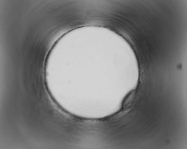 X0000115621087200912221223