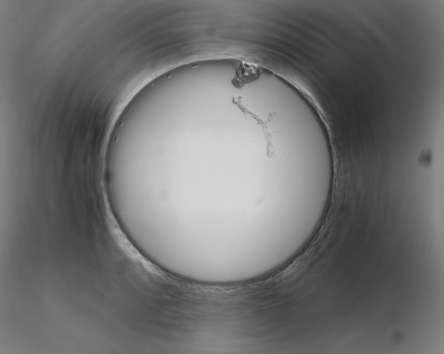 X0000115621088200912221223