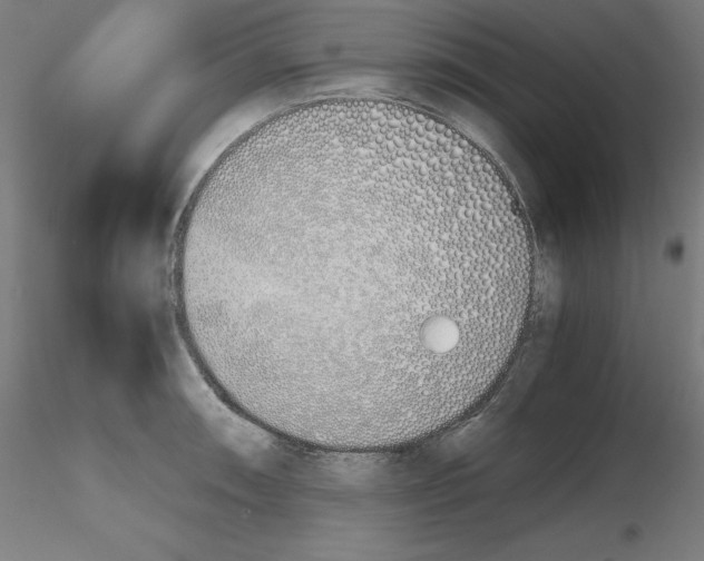 X0000115621090200912221223