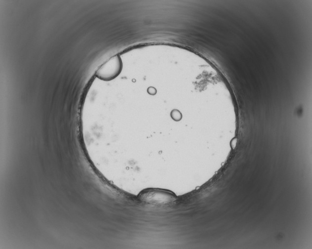 X0000115621093200912221223